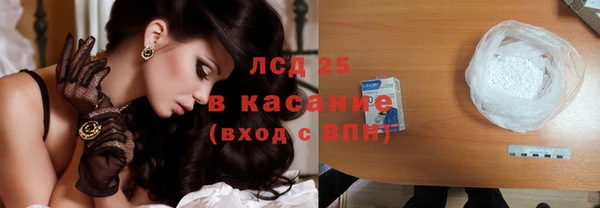 ГАЛЛЮЦИНОГЕННЫЕ ГРИБЫ Бородино