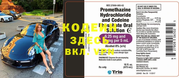 ГАЛЛЮЦИНОГЕННЫЕ ГРИБЫ Бородино