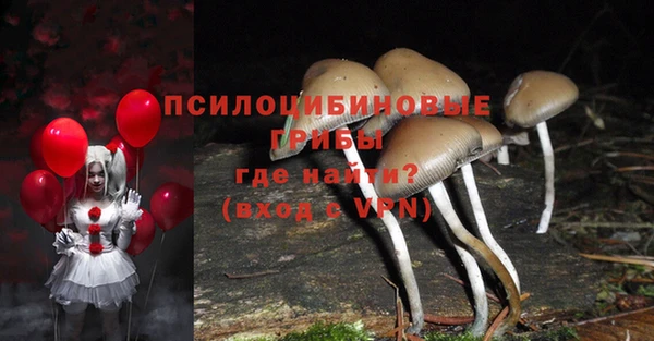 герыч Верхний Тагил