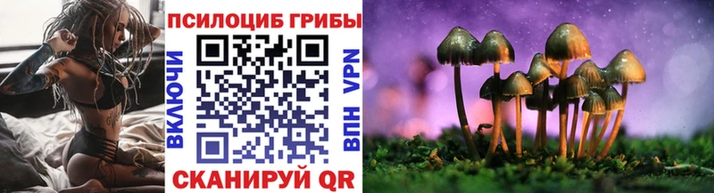мега купить наркотик Качканар Галлюциногенные грибы GOLDEN TEACHER